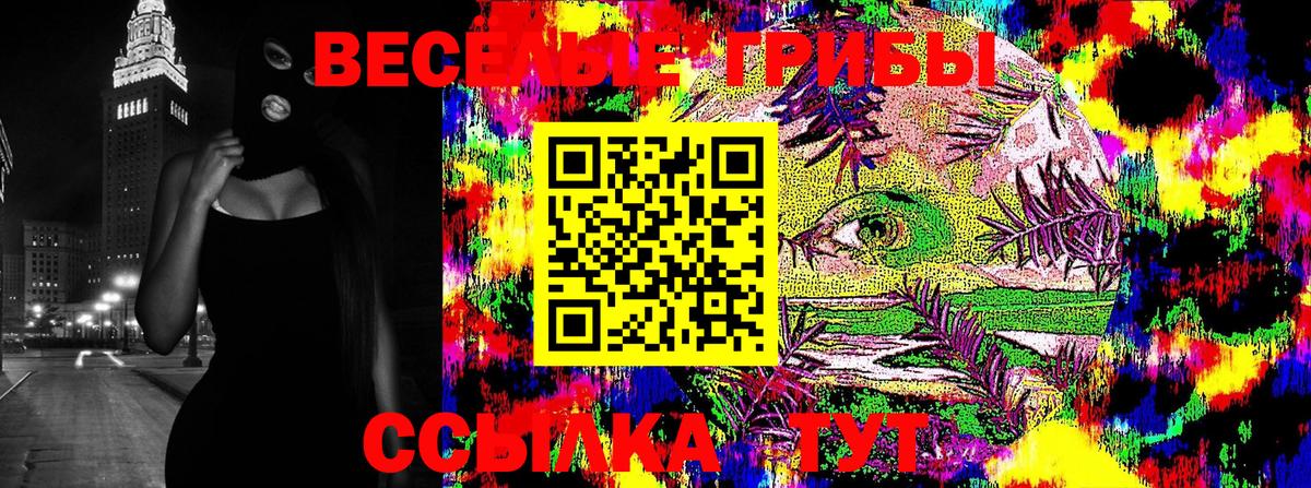 Соль-Илецк  Галлюциногенные грибы ЛСД  Вход с VPN 